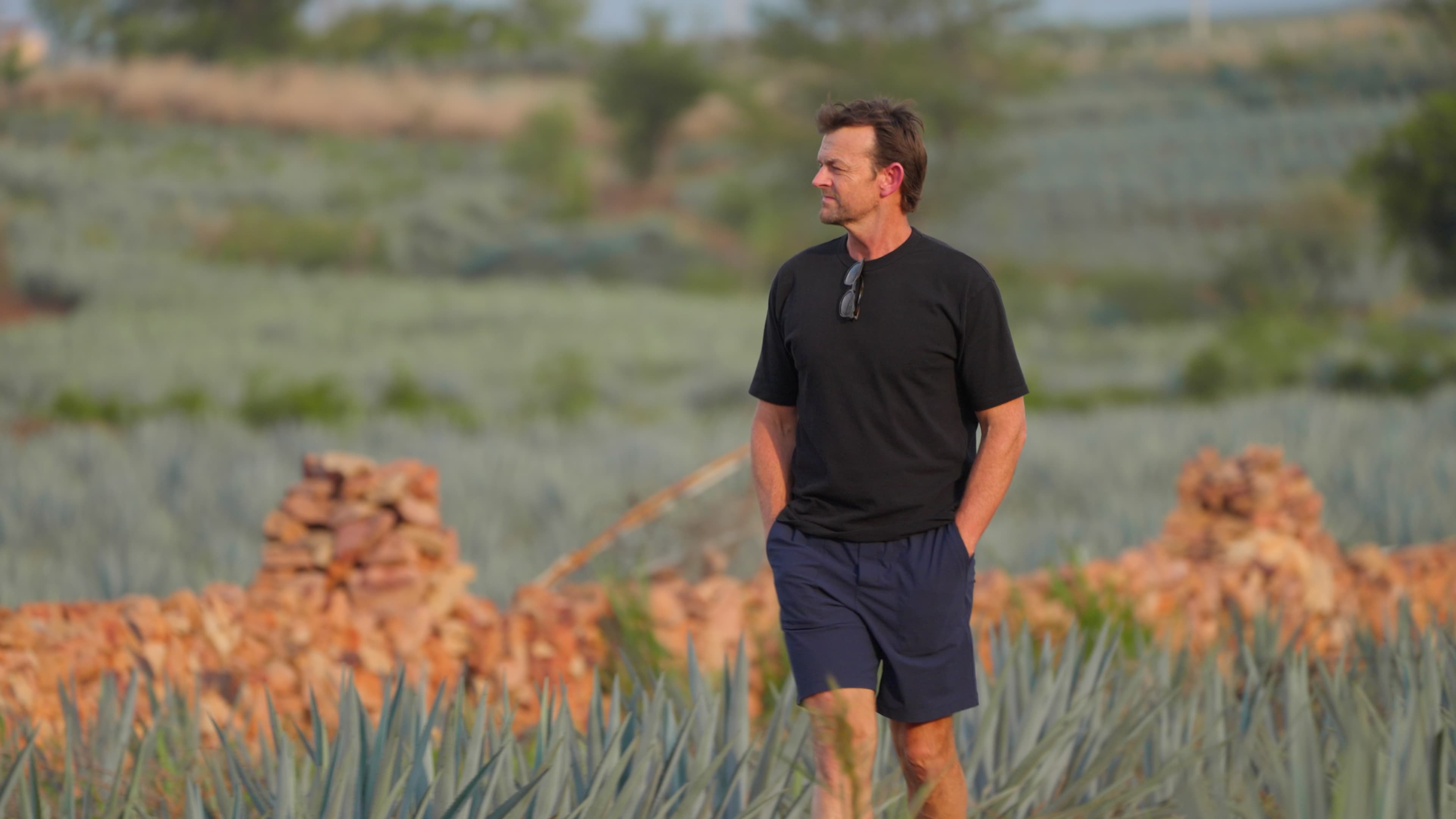 Adam Gilchrist walking the Blue Weber agave fields at sunrise in Jalisco